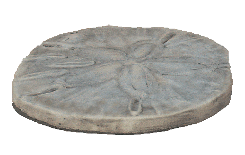 Sand Dollar Cast Stone Outdoor Asian Collection Statues Collection Tuscan 